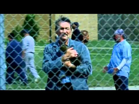 Orange sky -  Alexi murdoch (lyrics) Prison break