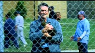 Orange sky -  Alexi murdoch (lyrics) Prison break