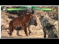 Akela Vs Shere Khan With Healthbars