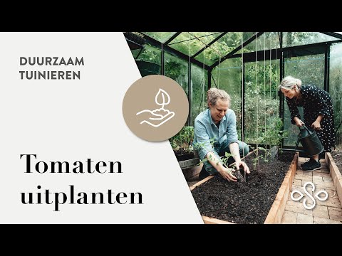 , title : 'Tomaten Planten Met Gegarandeerd Succes | Duurzaam Tuinieren'