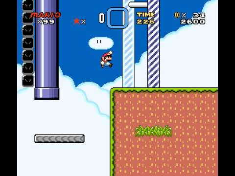 Blind Kaizo Race - Week 74 Level by BlooberryPie