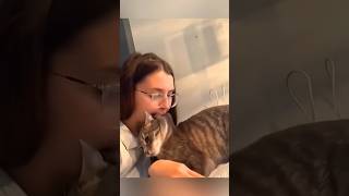 The end 🤣🤣 #shorts #funny #cat #dog #pets #animals #cute #memes
