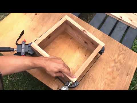 コマドリの巣箱を簡単に作る方法は？知っておくべきことはすべて！  庭園