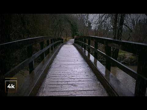 Heavy Rain Walk Through Nature 🌧️ 4K Rain Ambience | Relaxing ASMR for Sleep, Study & Focus
