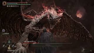 Re: [法環]我覺得設計最糟的boss其實是狂龍