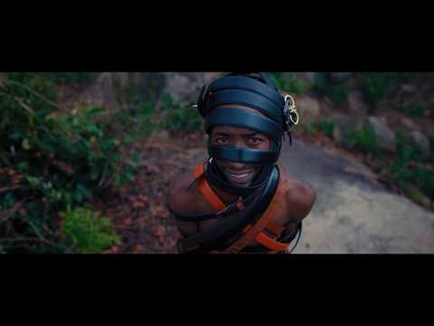 Poptain- Pfau Pfau Official Music Video