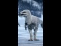 First Look: Nature's Greatest Show #Shorts