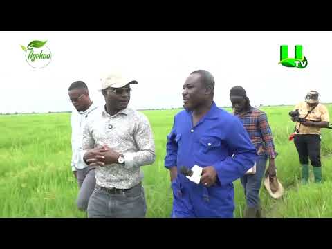 AYEKOO GHANA’S HEALTH MINISTER  4,000+ ACRES OF RICE FARM AND ONE OF THE COUNTRY’S BEST MILLING FACI
