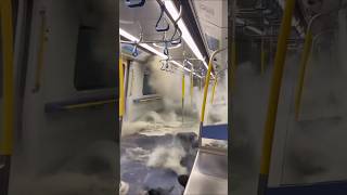 Download lagu #banjir #mtr #ai #aivideo mp3 Download lagu #banjir #mtr #ai #aivideo mp3