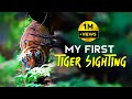T86 Ranthambore National Park Tiger Safari 4K Video Hindi हिन्दी