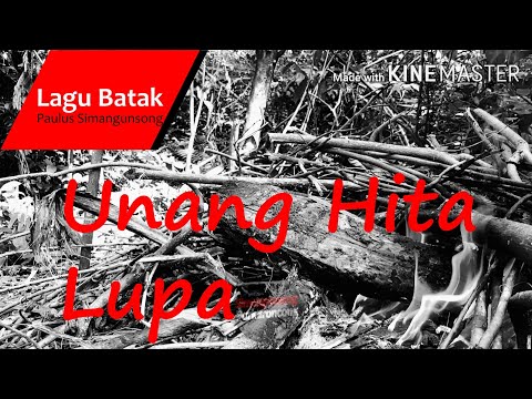 UNANG HITA LUPA | LAGU BATAK |PAULUS SIMANGUNSONG