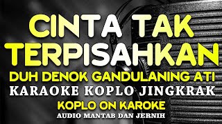 Download lagu CINTA TAK TERPISAHKAN KARAOKE KOPLO JINGKRAK DUET MESRA mp3
