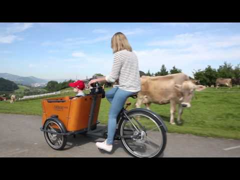 Triporteur électrique Babboe Curve Mountain - 4 enfants - Moteur Yamaha - Boîte Enviolo Nu Vinci_5