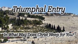 Video: Where Jesus wept for Jerusalem (Triumphal Entry, Dominus Flevit) - HolyLandSite