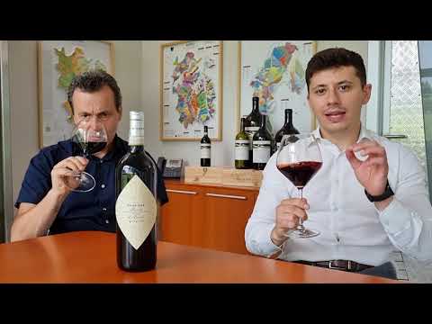 Vite Colte Winery | Tasting Essenze Barolo | Wines From Italy