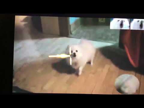 Darth gabe imperial March theme