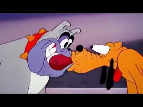 Uma hora de desenho animado pluto, pato donald , pateta e mais