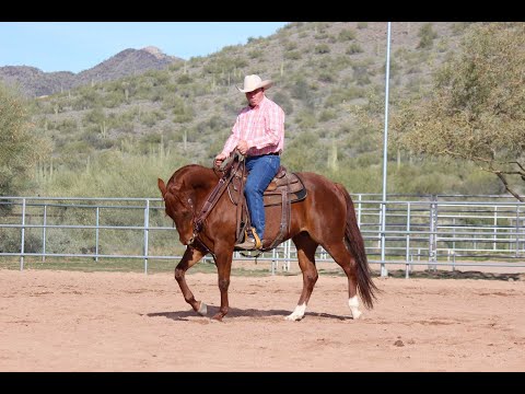 Ken McNabb: How to Teach Your Horse to Move Off Your Seat & Legs