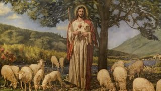 'diretta Santa Messa IV DOMENICA DI PASQUA' episoode image