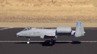 Rob Merriman Freewing A-10 Maiden Flight
