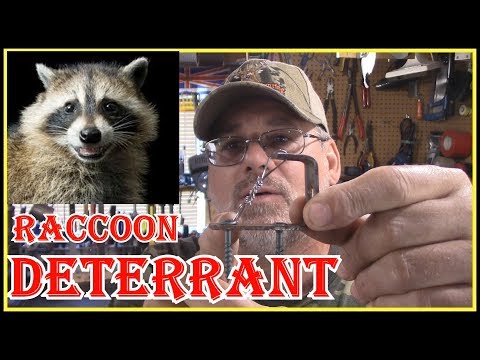 YouTube video about: Will bird netting keep raccoons out?