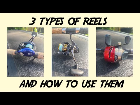 3 Types of Reels and How To Use Them