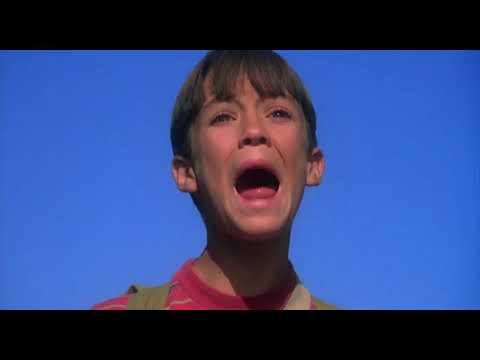 Stand By Me trailer still: the boys framed in late-afternoon light, a last look back