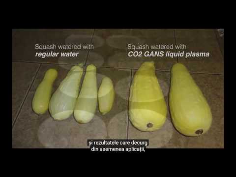 2017 03 08 PM Public Teaching in Romanian - Cursuri publice în română