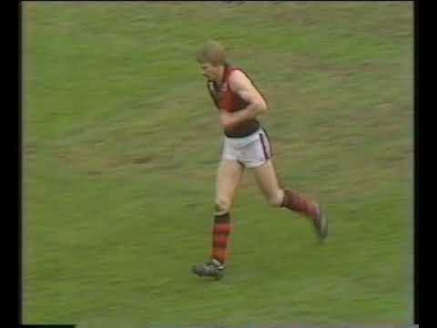1983 VFL Elimination Final - Essendon vs Carlton