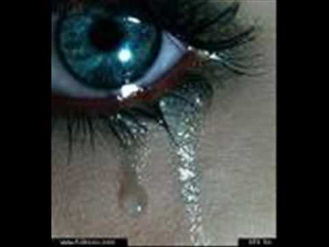 Bernat 2009 Mangava Tut But Suneja Li 