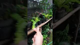 Download lagu 19 Oktober 2021 mp3