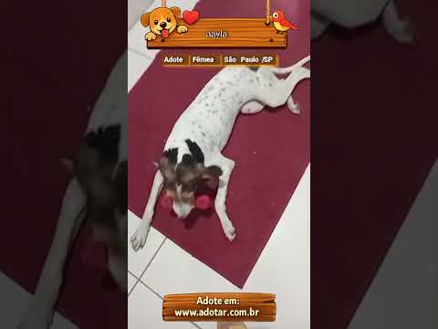 Vídeo de nayla
