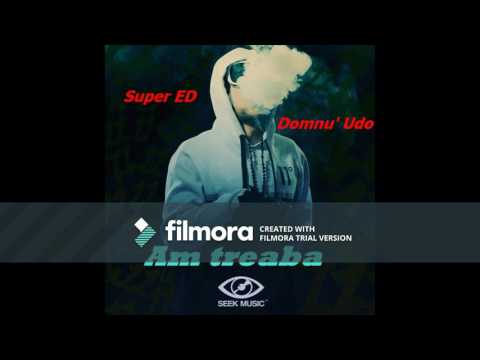 Domnul Udo feat Super ED - Am treaba ( bass boosted )