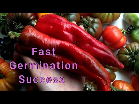 , title : 'Easy fast seed germination hack'