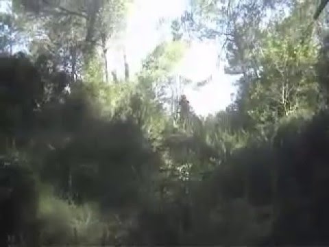 Salida del Grup Propedal de Cullera v2