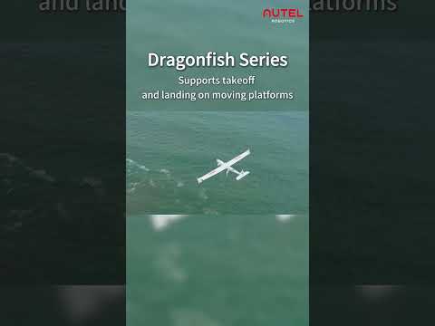 Dragonfish-25 Review Video 4