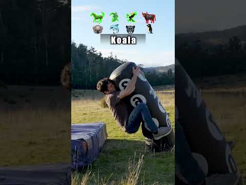 How Animals Fight. Part 2 (with emojis)