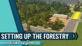 Starting on the Forest Industry in our country of Cities Skylines!