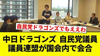 【なんやそれ】中日ドラゴンズ  自民党議員 議員連盟が国会内で会合【プロ野球反応集】【2chスレ】【なんG】