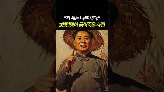 Download lagu 저 새는 나쁜 새다. 3천만명이 굶어죽은 사건 #마우쩌둥 #모택동 #대약진운동 mp3 Download lagu 저 새는 나쁜 새다. 3천만명이 굶어죽은 사건 #마우쩌둥 #모택동 #대약진운동 mp3