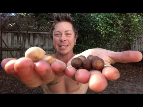 download lagu mp3 mp4 Bay Nuts, download lagu Bay Nuts gratis, unduh video klip Bay Nuts