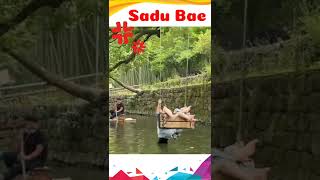 Download lagu VIRAL!!! Video cewek jatuh dari ayunan di kolam sungai. #cewekcantik mp3 Download lagu VIRAL!!! Video cewek jatuh dari ayunan di kolam sungai. #cewekcantik mp3
