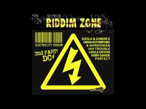 DIANA RUTHERFORD AND NORRISMAN - SEE YOU AGAIN - ELECTRICITY RIDDIM DC [TIGER RECORDS]