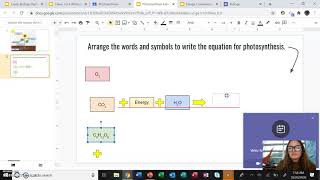 Photosynthesis Labeling Review