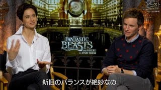 映画『ファンタスティック・ビーストと魔法使いの旅』特別映像