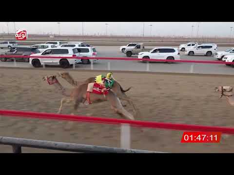  ش 4 (ابوظبي) لـ علي سالم الربيعي 2:15:80 , شارة الصندوق 2026/03/14 فطامين الوثبة