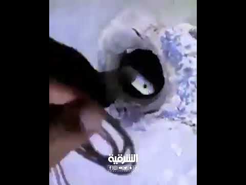 شاهد بالفيديو.. العثور على هواتف نقالة وآلات حادة داخل سجن التاجي في بغداد