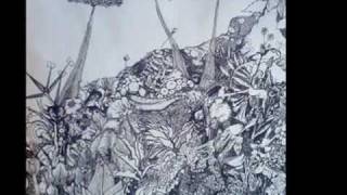 Visitations - Untitled first Song  On side b - 2007 (Time-Lag)