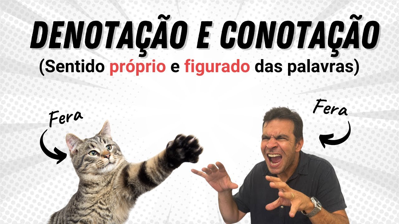 DENOTAÇÃO e CONOTAÇÃO - Aula de Português para concurso