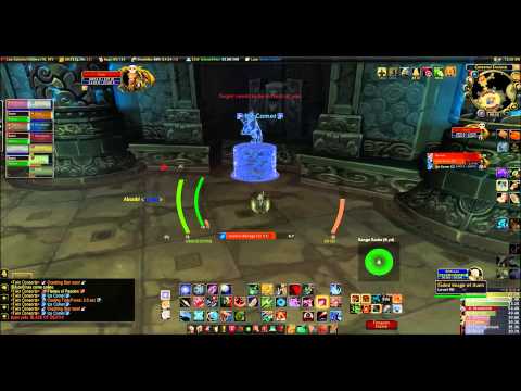 Throne of Thunder - Twin Consorts (10 man) - Hunter PoV